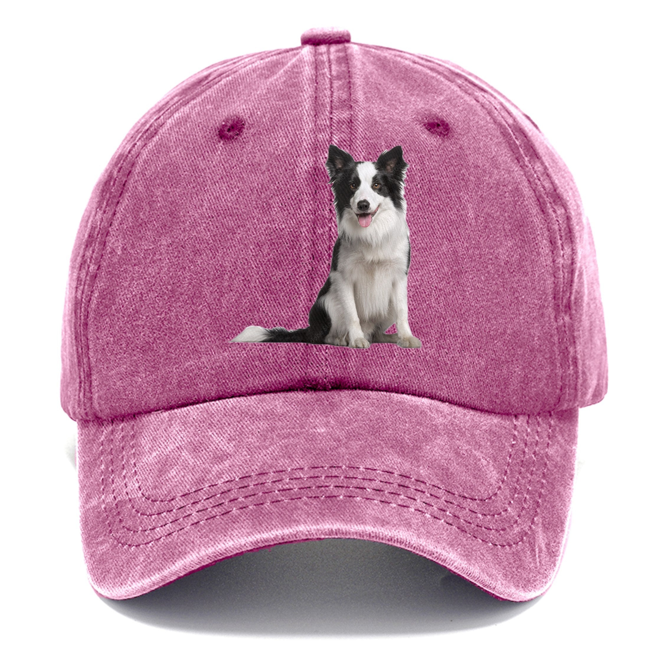 Border Collie Classic Cap