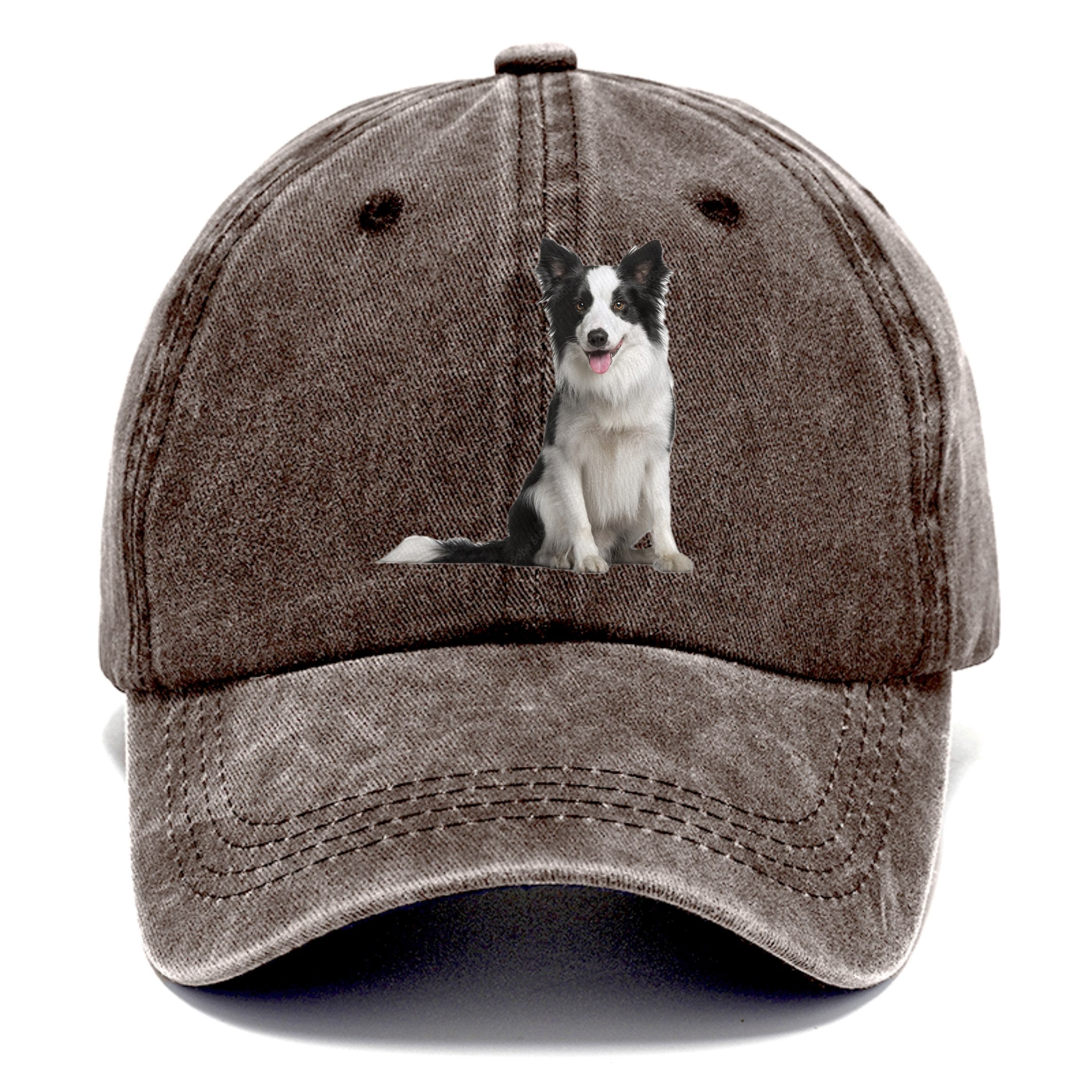 Border Collie Classic Cap