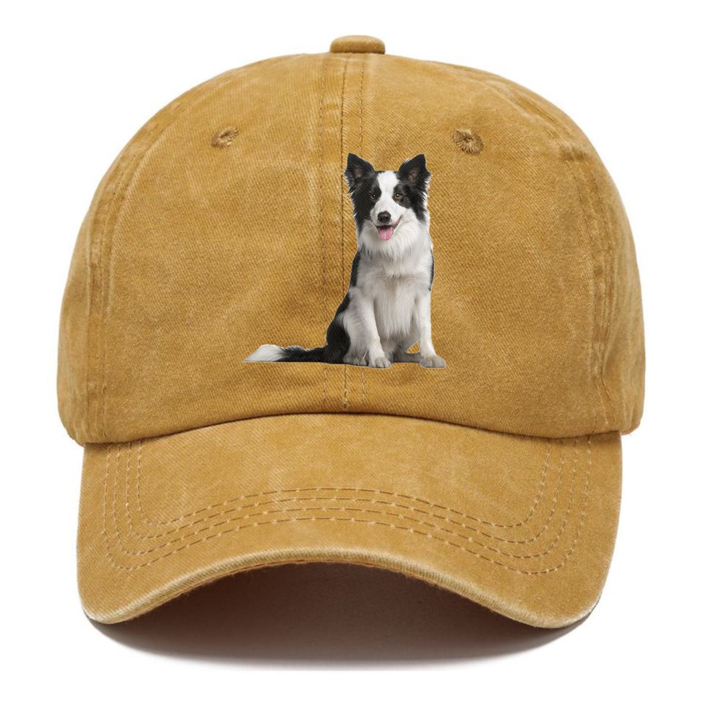Border Collie Classic Cap