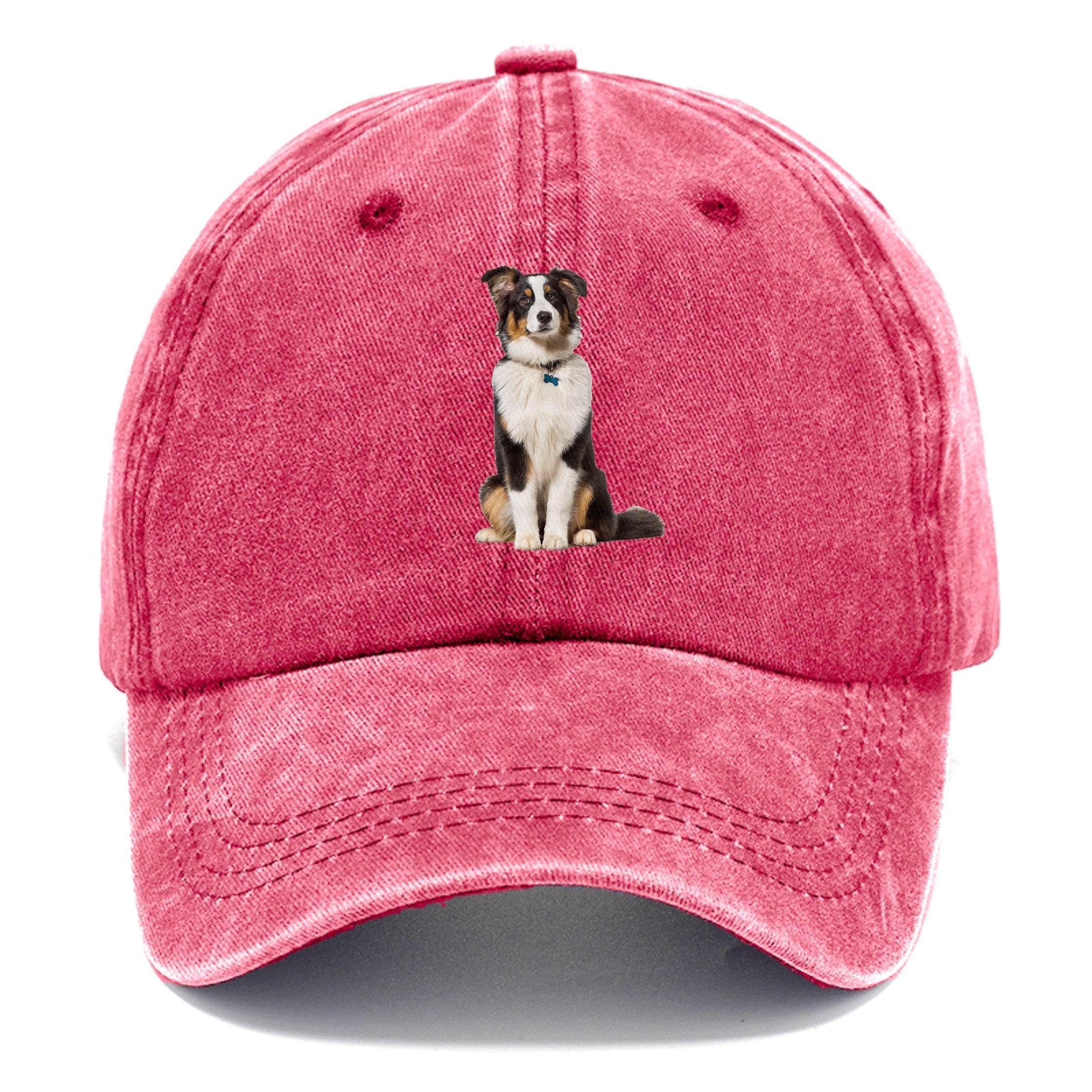 Attentive Australian Shepherd Sitting Upright Classic Cap