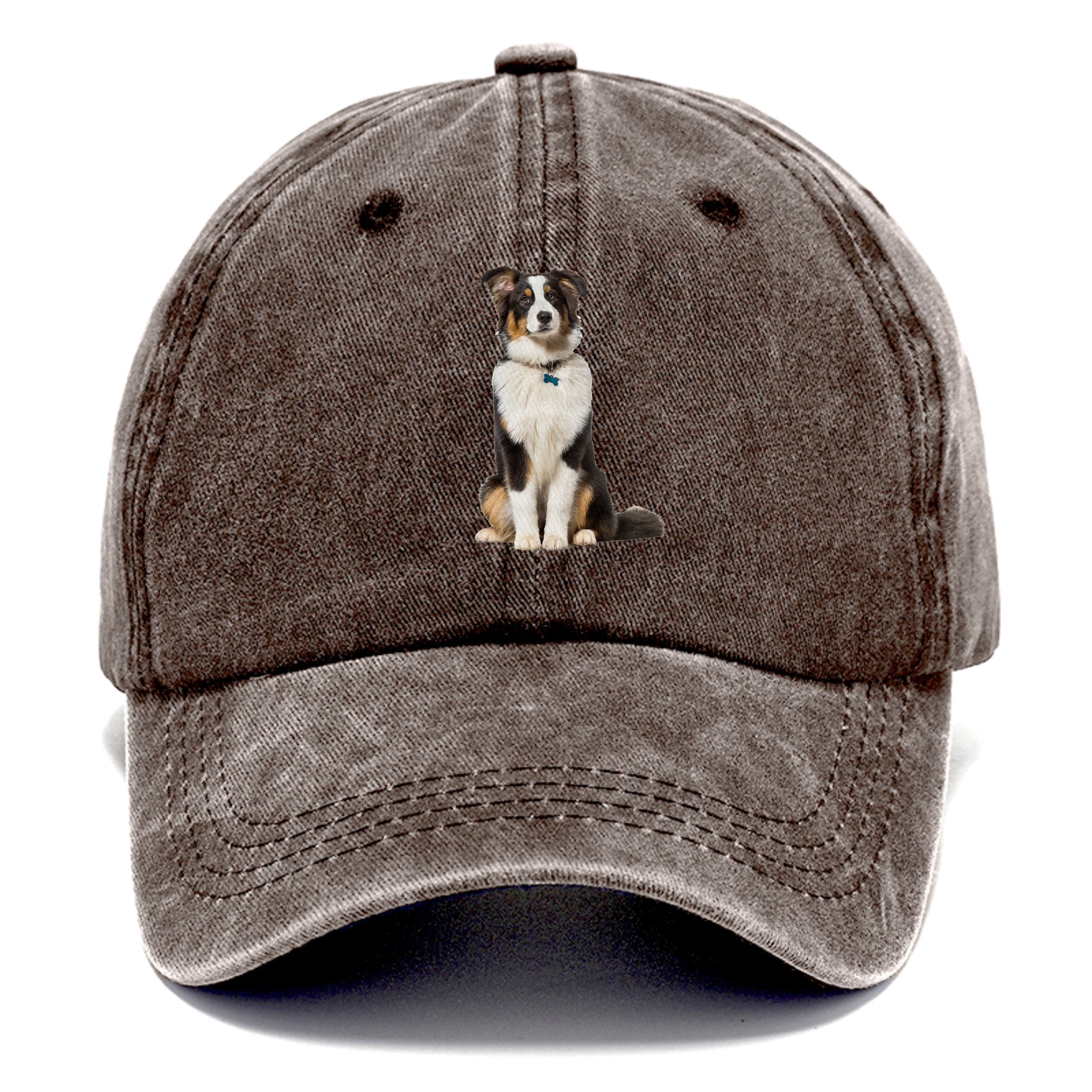 Attentive Australian Shepherd Sitting Upright Classic Cap