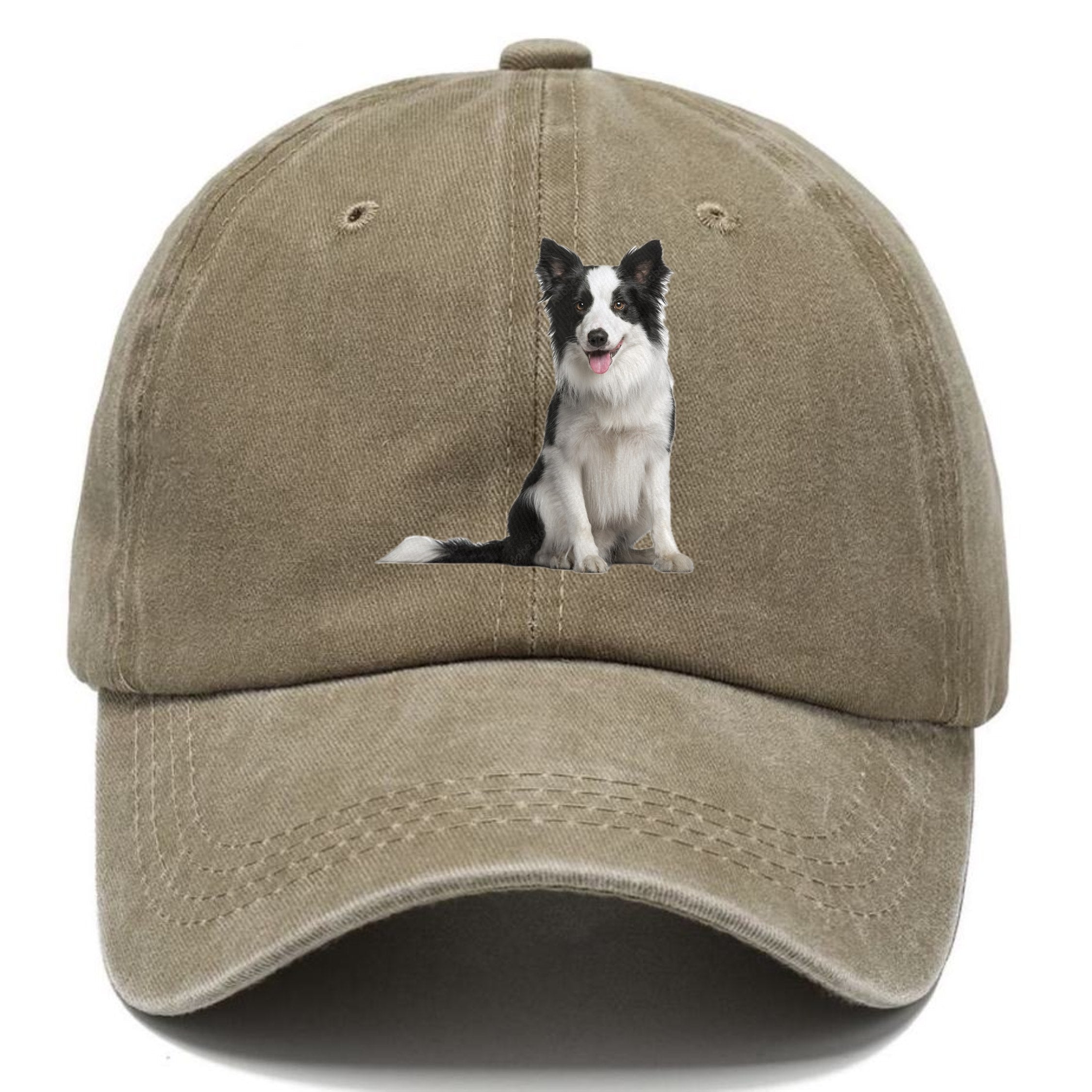 Border Collie Classic Cap