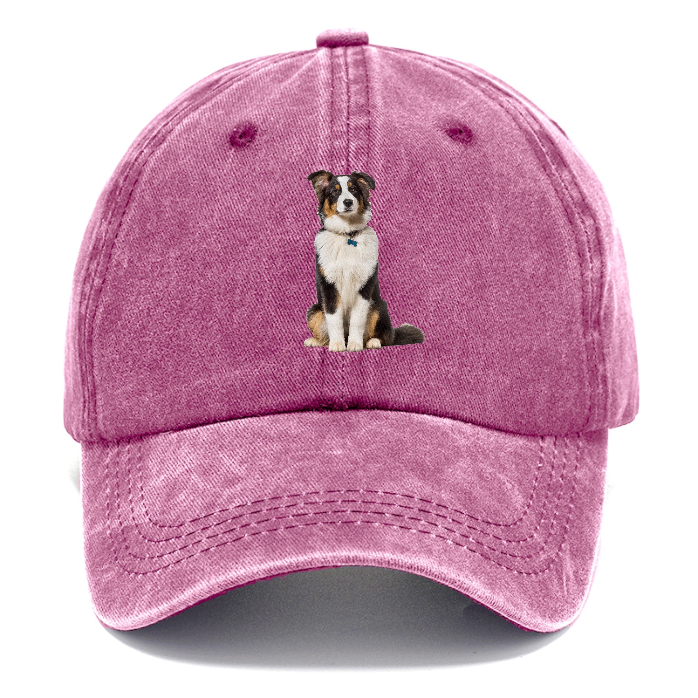 Attentive Australian Shepherd Sitting Upright Classic Cap