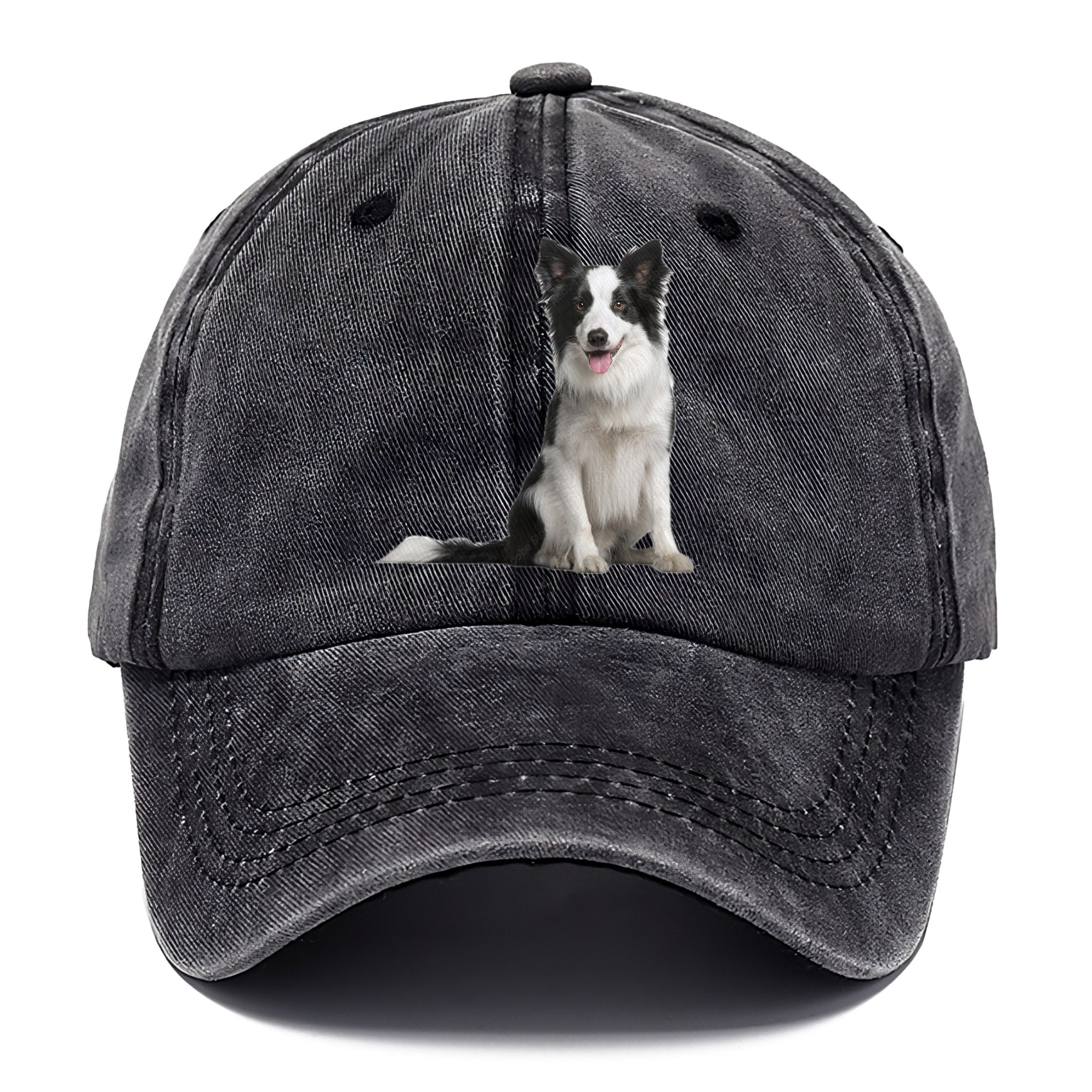 Border Collie Classic Cap