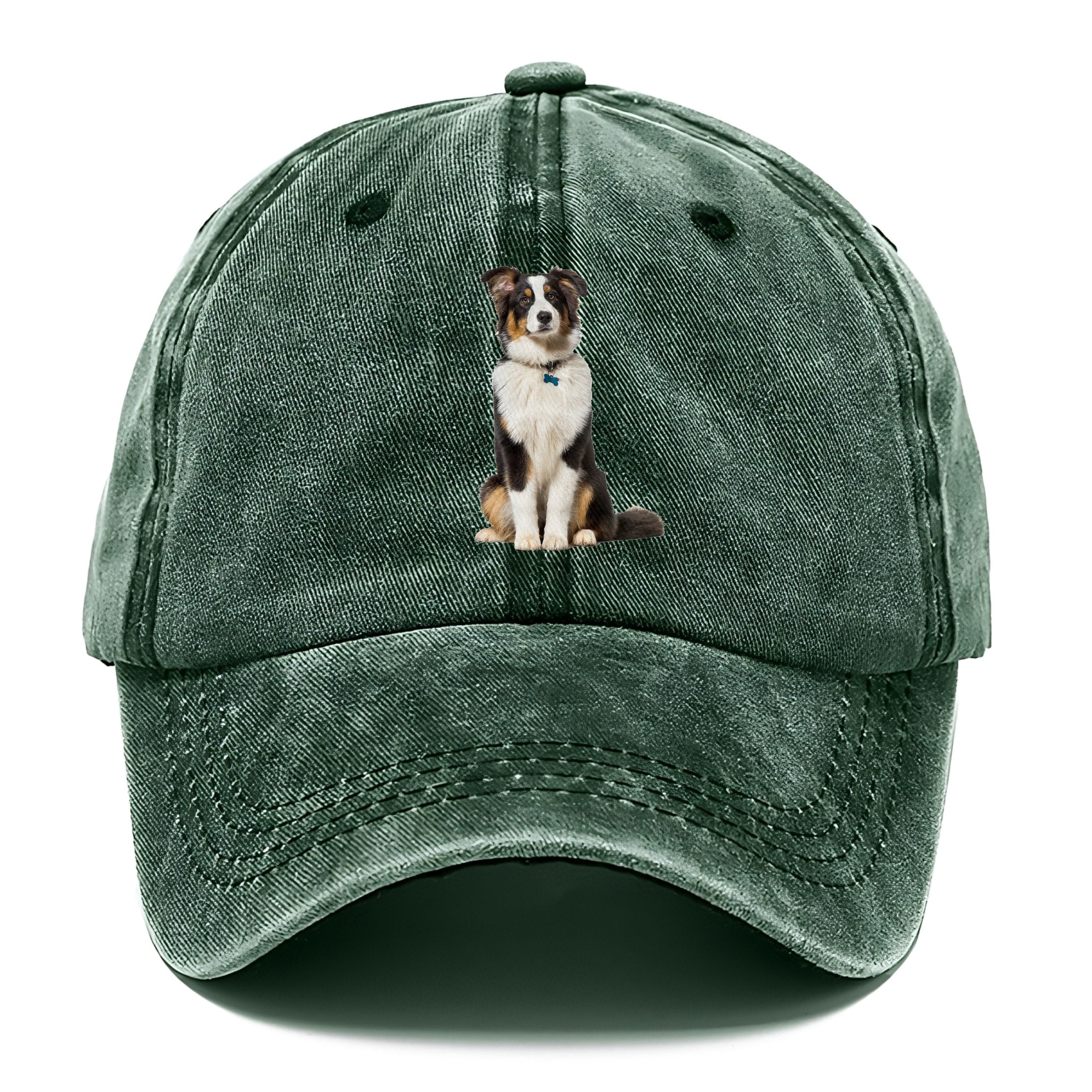Attentive Australian Shepherd Sitting Upright Classic Cap