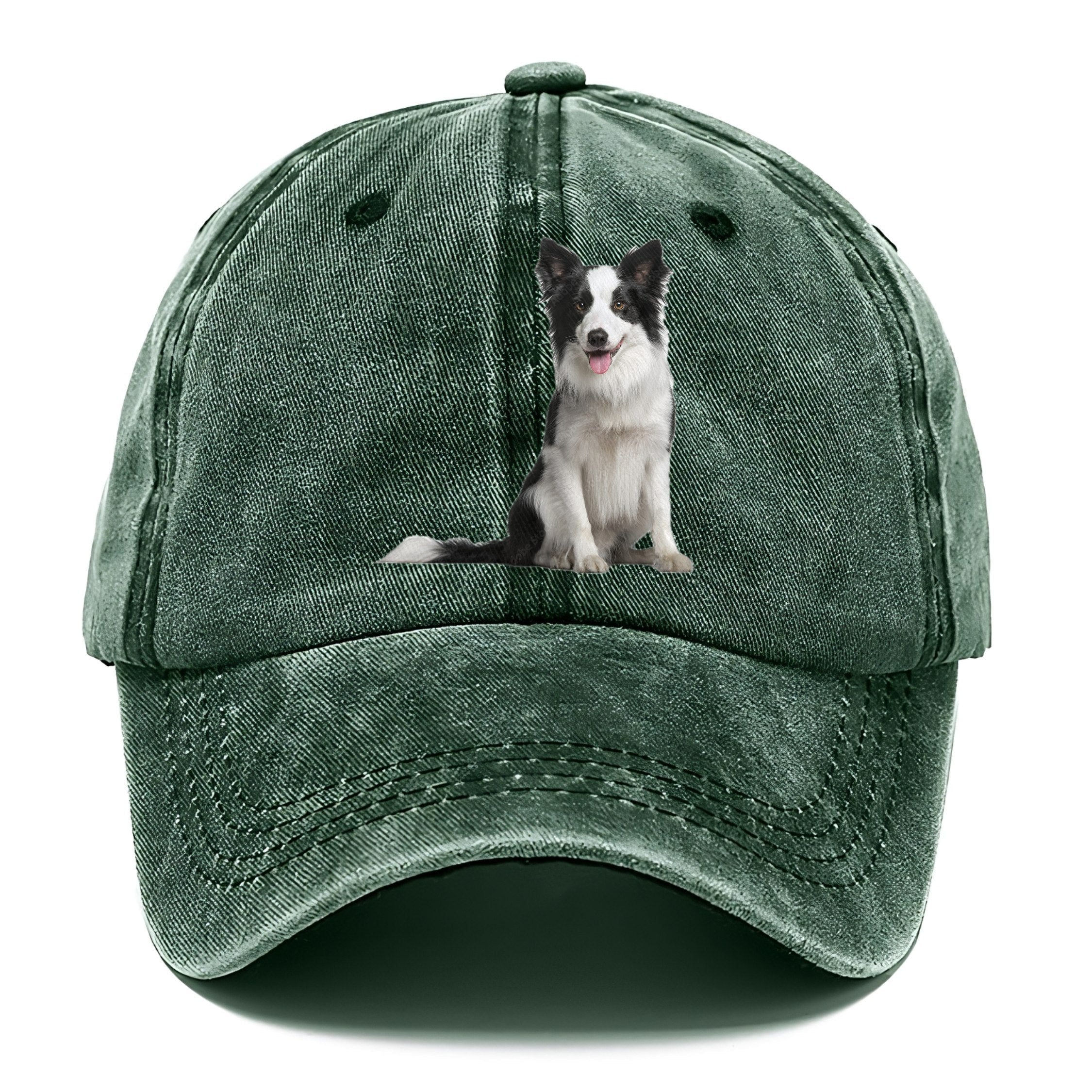 Border Collie Classic Cap