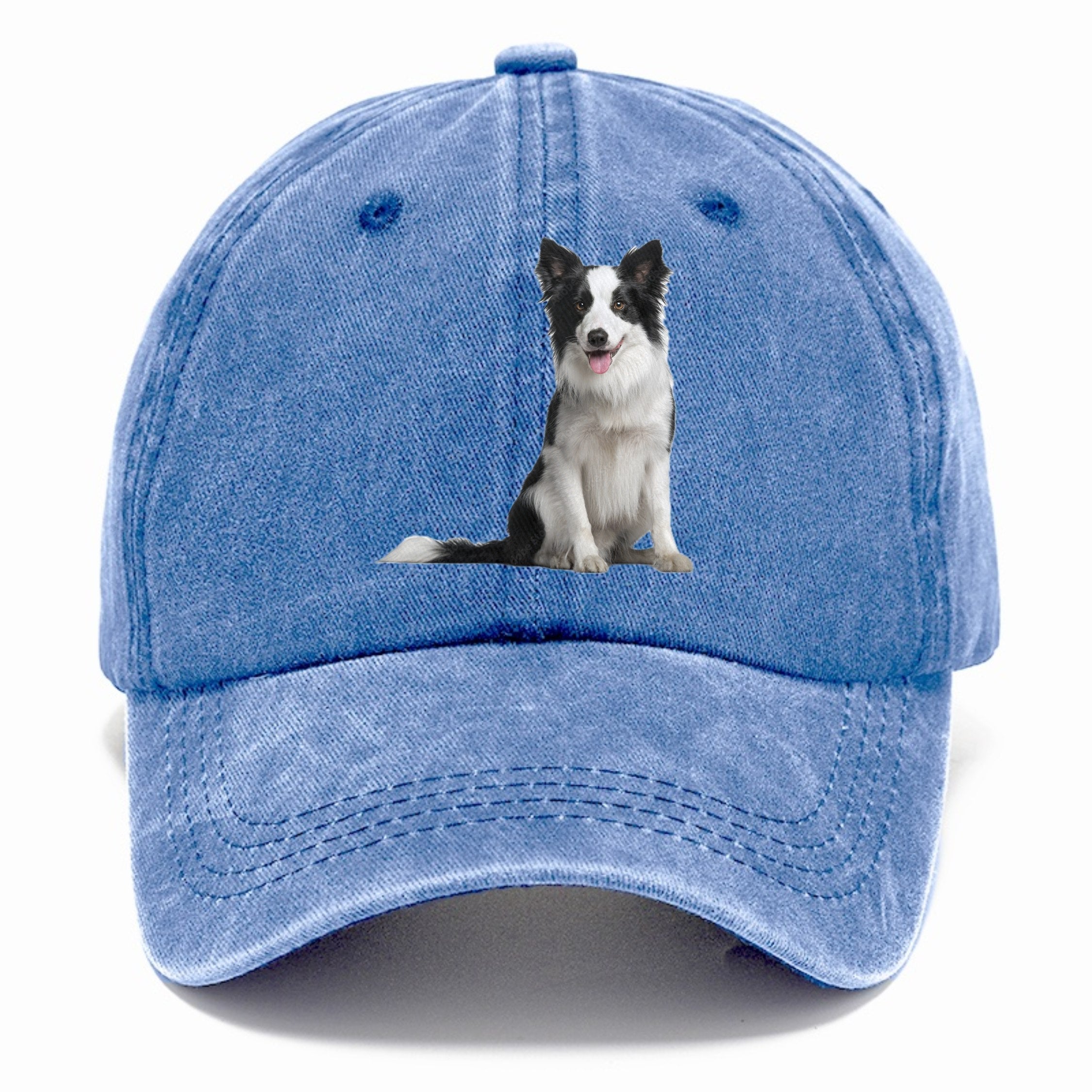 Border Collie Classic Cap