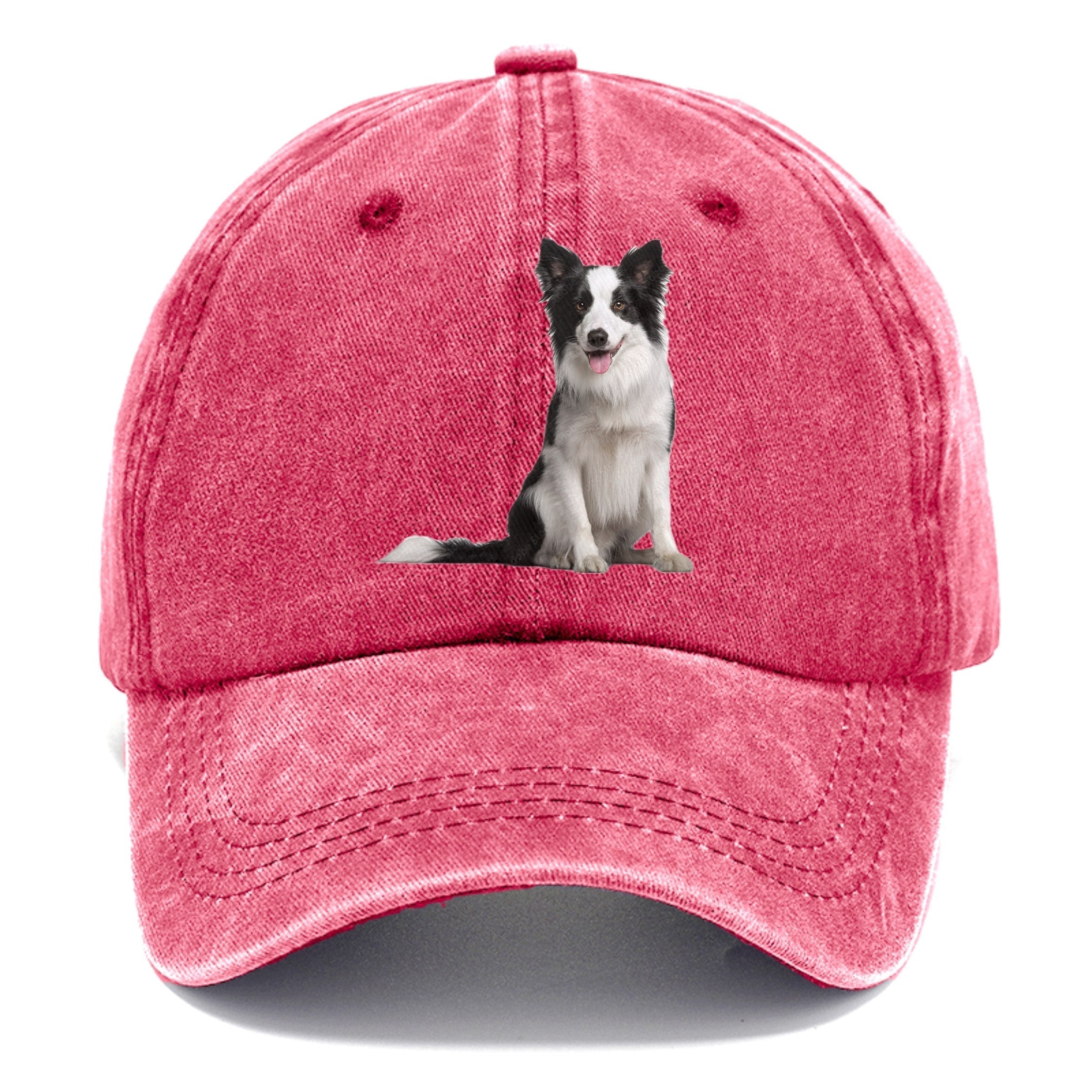 Border Collie Classic Cap
