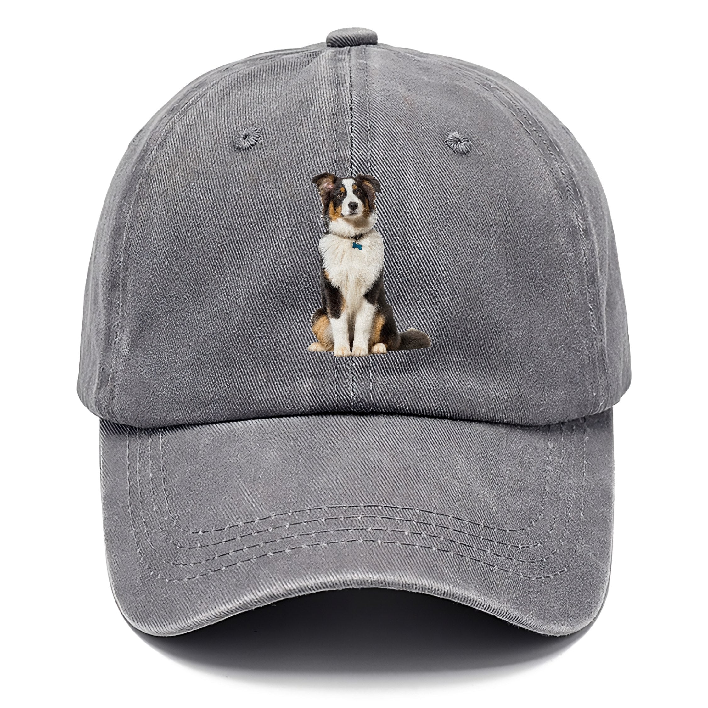 Attentive Australian Shepherd Sitting Upright Classic Cap
