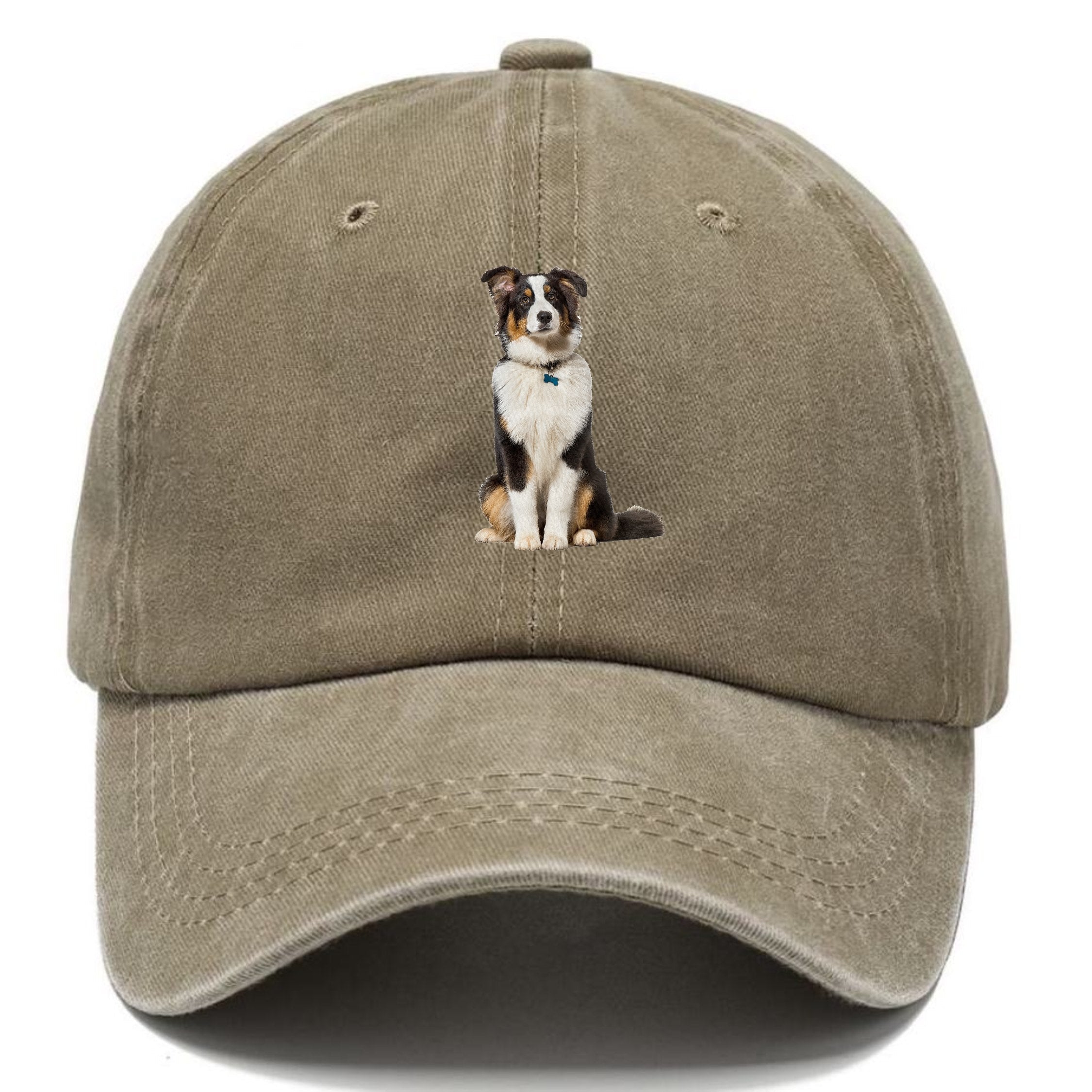 Attentive Australian Shepherd Sitting Upright Classic Cap