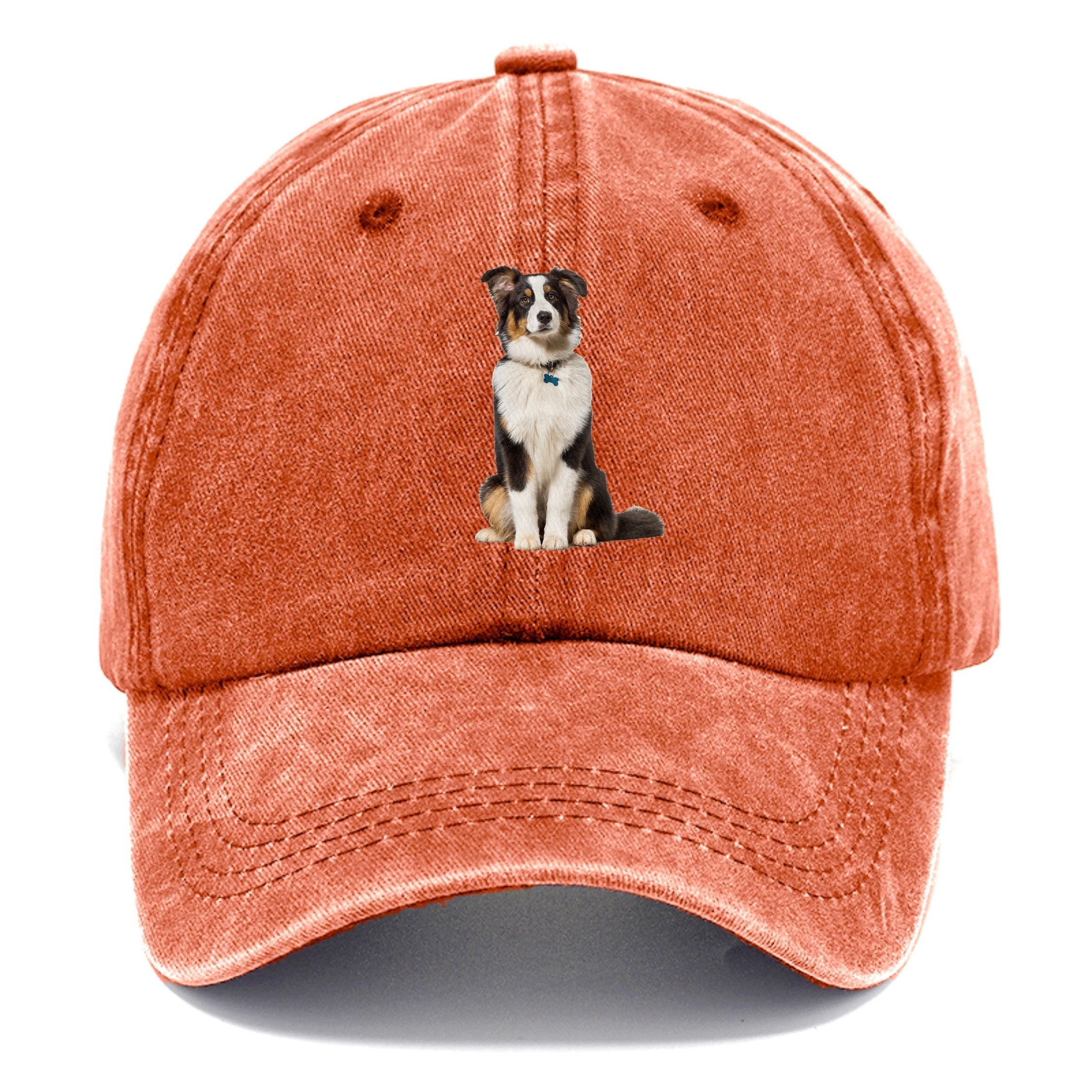 Attentive Australian Shepherd Sitting Upright Classic Cap
