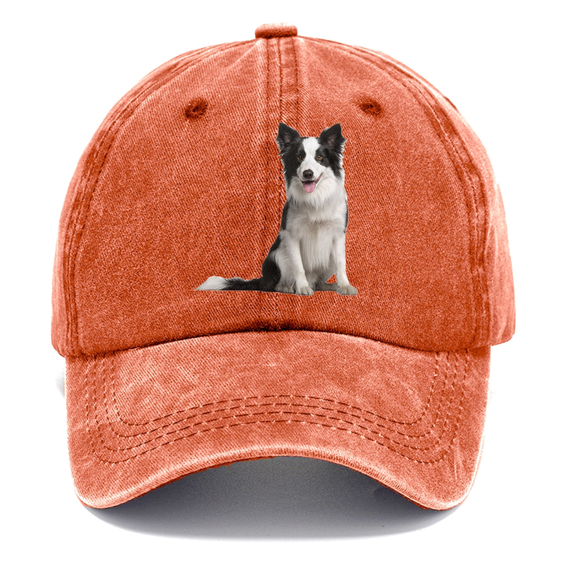 Border Collie Classic Cap
