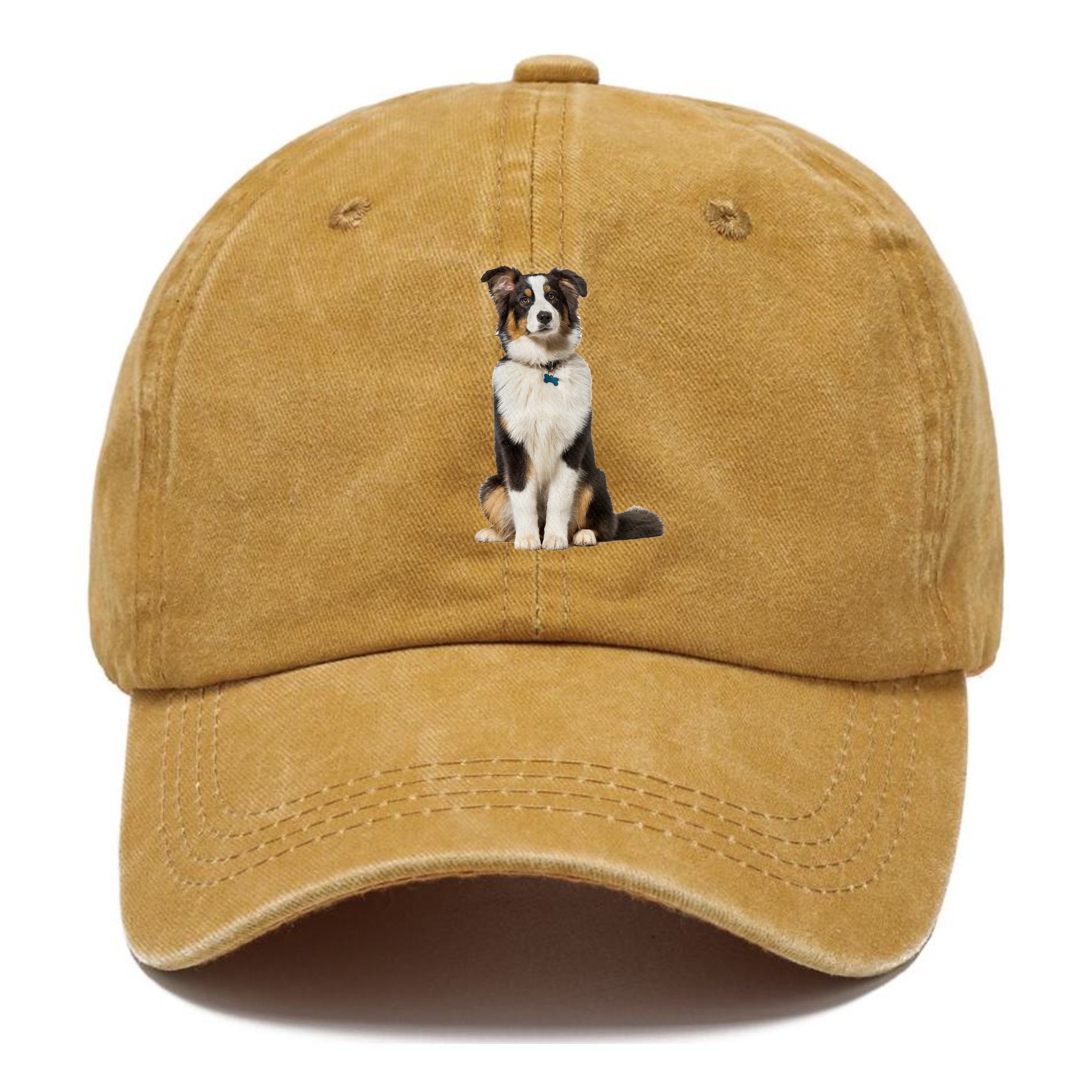 Attentive Australian Shepherd Sitting Upright Classic Cap
